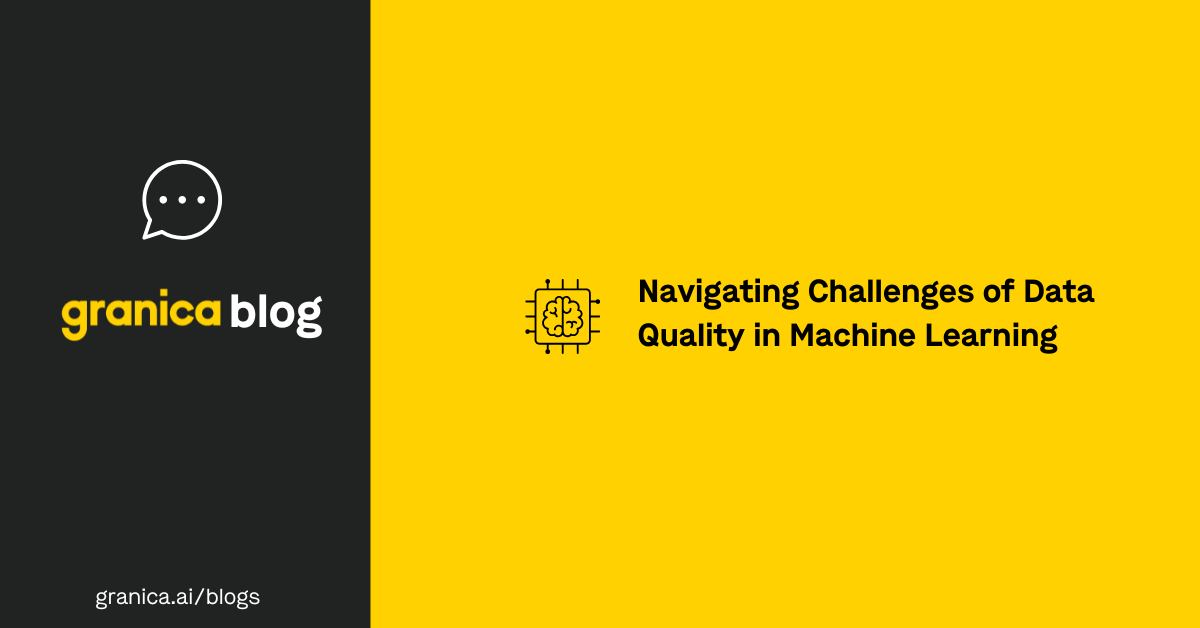 Navigating Challenges of Data Quality in Machine Learning